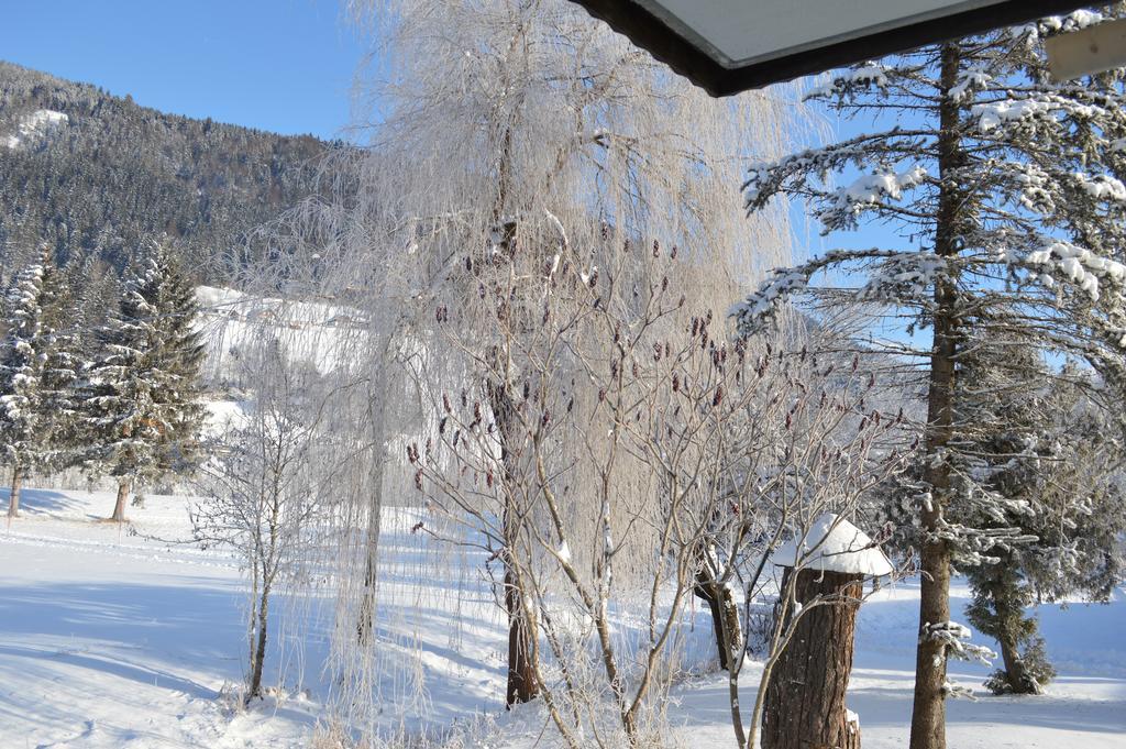 Chalet Kammleitn Hermagor-Pressegger See Exterior photo